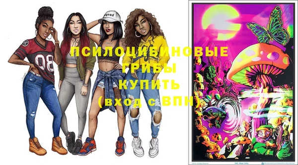 ПСИЛОЦИБИНОВЫЕ ГРИБЫ Лиски