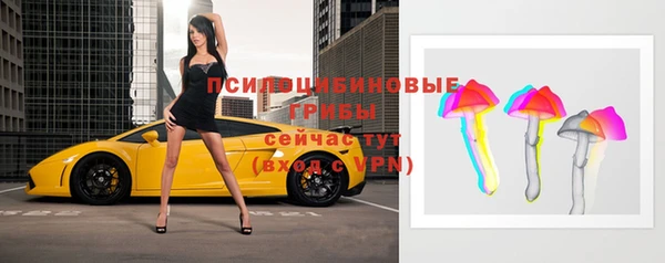 ПСИЛОЦИБИНОВЫЕ ГРИБЫ Лиски