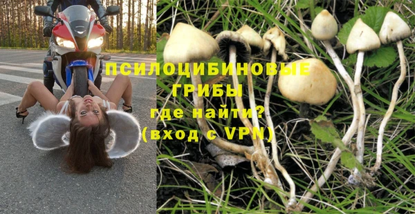 Альфа ПВП Липки