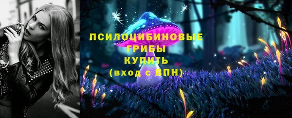 ПСИЛОЦИБИНОВЫЕ ГРИБЫ Лиски