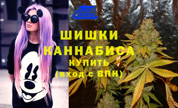 ПСИЛОЦИБИНОВЫЕ ГРИБЫ Лиски