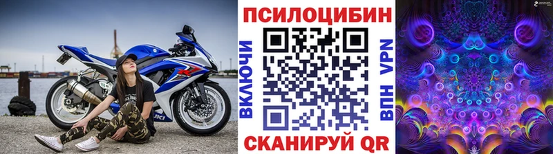 Купить  Челябинск  Псилоцибиновые грибы Psilocybe 